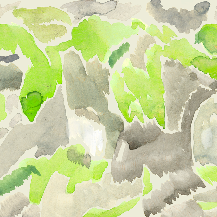 Lichen Borealis 3 – Édition